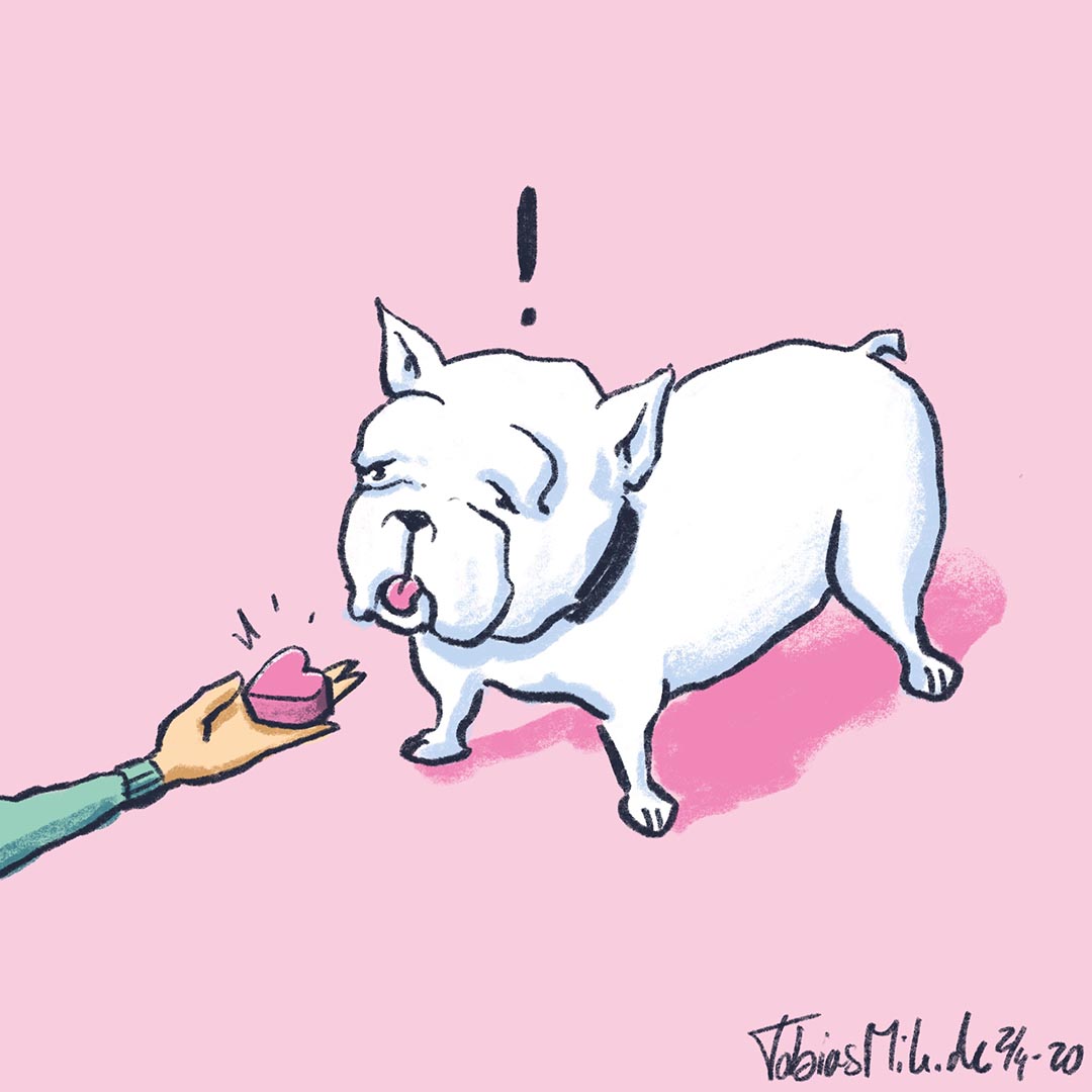 Illustration af en hånd der holder en lille hjerteformet boks frem foran en forbavset hvid bulldog.
