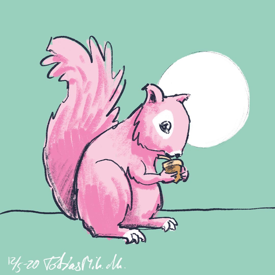 Illustration af et lyserødt egern der holder en nød med forpoterne.