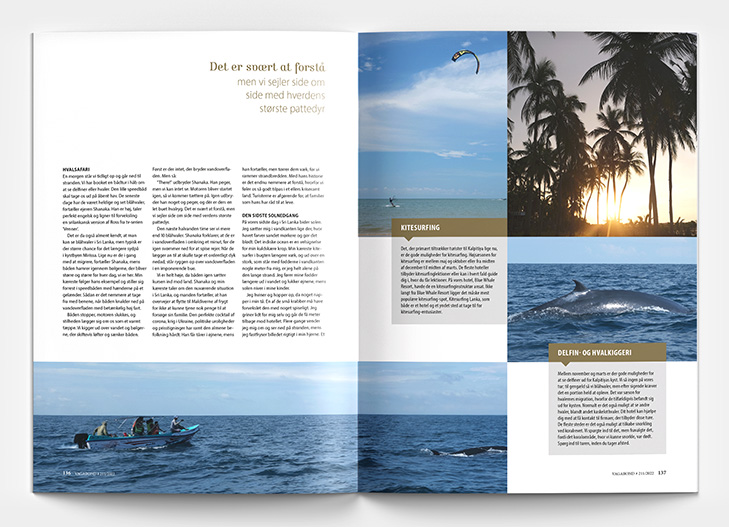 Layout af opslag fra Rejsemagasinet Vagabond med fotos fra hvalsafari fra Thailand
