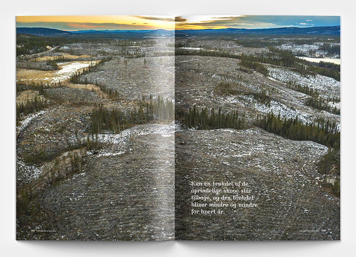 Layout af opslag fra Rejsemagasinet Vagabond med foto fra Lapland